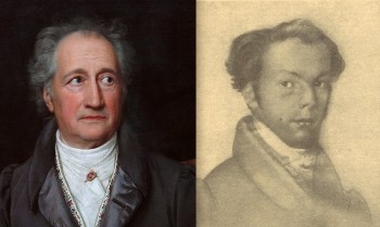 20260903152228_Goethe.Vogel.16er_350x0-aspect-wr.jpg